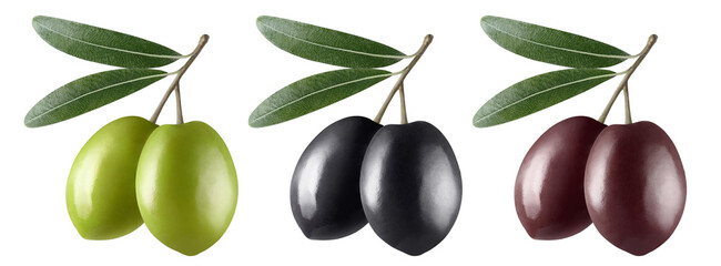 Green, black and brown olives set, isolated on white background