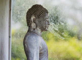 Buddhas statue