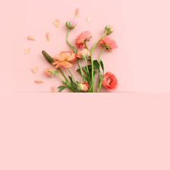 Top view image of pink flowers composition over pastel background - obrazy, fototapety, plakaty