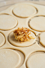 Ukrainian traditional food varenyky. varenyky with fried cabbage and meat. pierogi. Process of making Ukrainian food. raw food