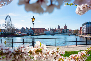 Spring over the Motława River in Gdańsk. Poland - obrazy, fototapety, plakaty