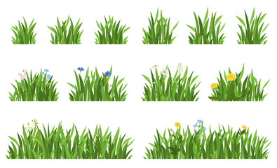 Set of bright grass with flowers. Vector illustration on a white background