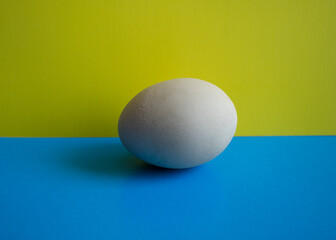 An egg for painting studying 