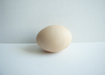 An egg for painting studying 