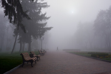 misty morning in the park with benches in Chernihiv, Ukraine