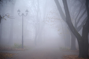 misty morning in the park in Chernihiv, Ukraine