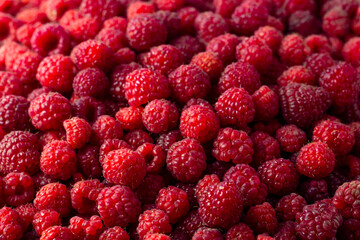 Raspberry. Ripe sweet raspberry background. 