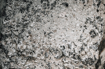 Background, texture of gray burnt ash after burning firewood.