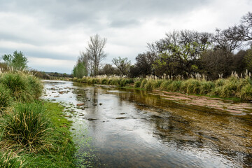 river in the forest