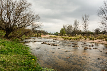 river in the spring
