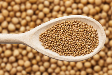 Charlock spice texture. Mustard ingredient on wooden spoon.