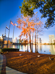 Amazing views around the lake in the middle of Lake Eola Park, Orlando, Florida.