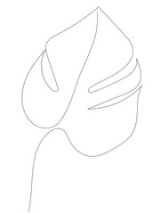 Monstera leaf vector in one line, continuous outline drawing in minimalistic style. Botany, tropical leaf