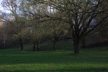 park.spring. Creek. spring forest. thawed patch. first sprout. rebirth. holiday of life. prosperity. branch . stem. first flower.озеро. пруд. утро.
lake. pond. morning.park.spring. Creek. spring fores