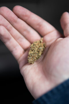 joint packet of weed on a car background close up marijuana bud flowers of cannabis.