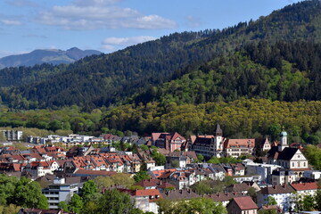 Fototapeta na wymiar Grünes Freiburg im Frühling