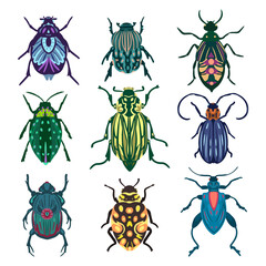 Vector set of various colorful beetles