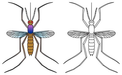 Mosquito vector illustration colored and outline flying wings a harmful insect transmit diseases line icon sign isolated symbol logo object flat design can be used for structure and part coloring book