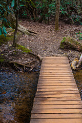 Bridge Over Babbling Brook