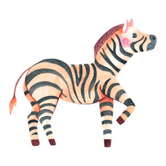Fototapeta na wymiar Cute watercolor zebra illustration isolated on white background