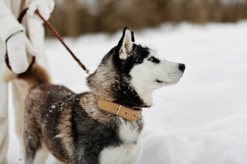 woman with dog winter walk outdoors friendship winter holidays