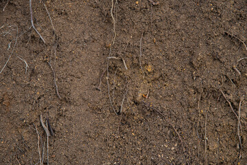 Soil in the ground. Brown ground texture.