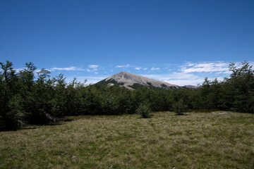 View of the mountains and forest under a blue sky. 