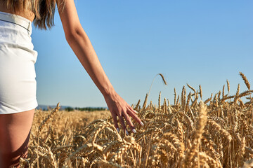 A young woman with her back turned walks through a summer grain field while her fingers caress the...