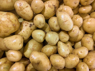 Potato washed ready for sale