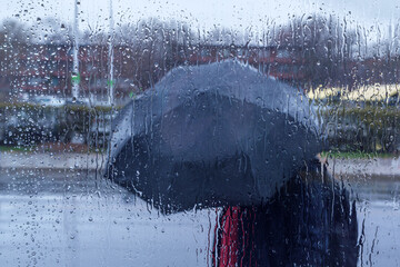 Pedestrian holding an umbrella walking in the rain