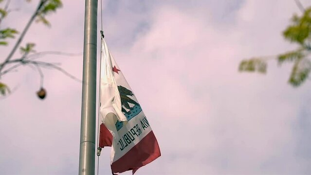 Close up of a California Republic flag blowing in the wind.
