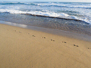 Women footsteps washed on sand, tropical beach.