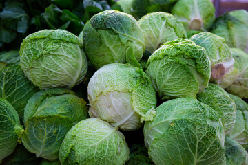 Fototapeta premium Fresh cabbage heads as background. 