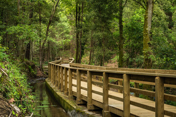 Fototapeta premium Wooden footbridge in Stanislaus fountain park