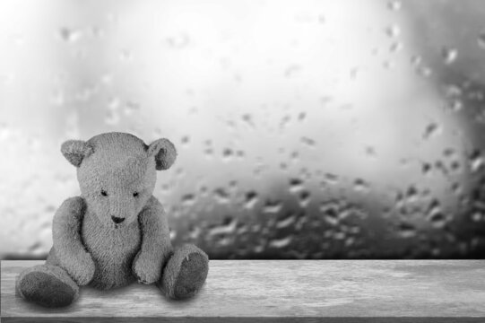 Black and white photo. view Bear sitting on window background in rainy day. Loneliness concept