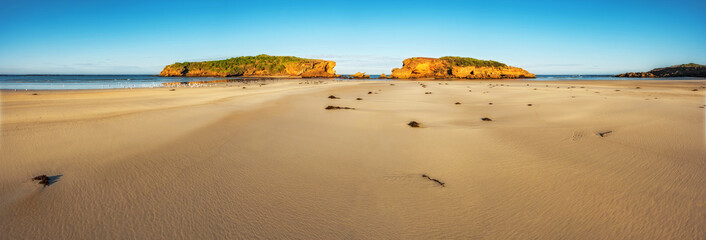 Panorama of Middle Island and Merri Island, Warrnambool, Great Ocean Road, Victoria, Australia © Cameo