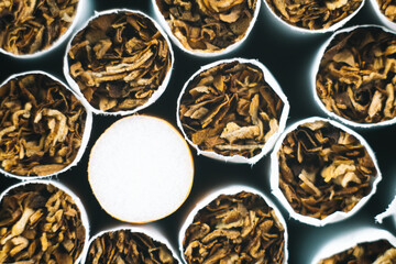 Close up tobacco cigarette background or texture. Cigarettes. Tobacco product