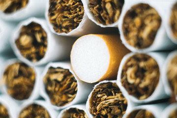 Close up tobacco cigarette background or texture. Heap of tobacco cigarettes close up from the front