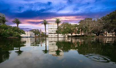 Obraz premium Beautiful Burwood Park and Skyline a Sydney suburb with palms trees nice buildings green pond lovely sky NSW Australia