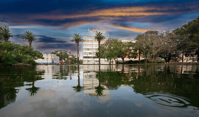 Obraz premium Beautiful Burwood Park and Skyline a Sydney suburb with palms trees nice buildings green pond lovely sky NSW Australia