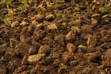 Plowed soil, brown chunks of the ground texture bg