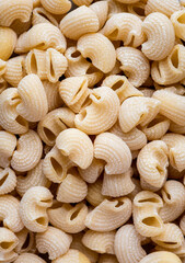 Fresh pasta