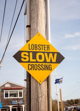 Lobster Crossing Sign