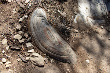 close up of a pair of shoes