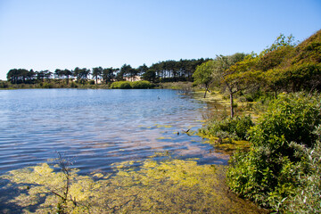 Lake in the Netherlands