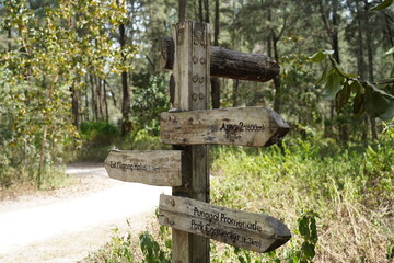 old wooden sign in the forest