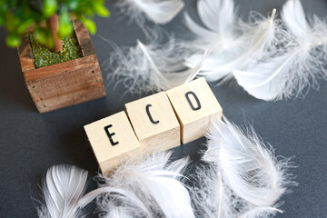 エコロジーのイメージー木製ブロックに印字された「ECO」の文字