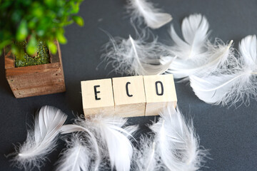 エコロジーのイメージー木製ブロックに印字された「ECO」の文字
