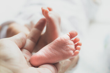 Baby feet on parent hands