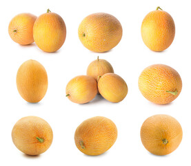 Set of ripe melon isolated on white
